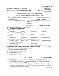 Cover of 20UEL407 – Drama II