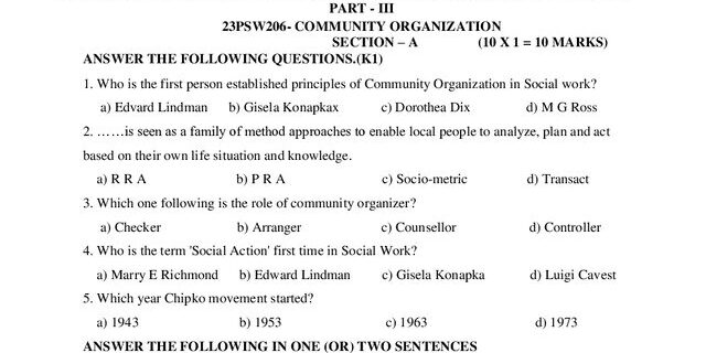 Cover: 23PSW206 – Community Organization